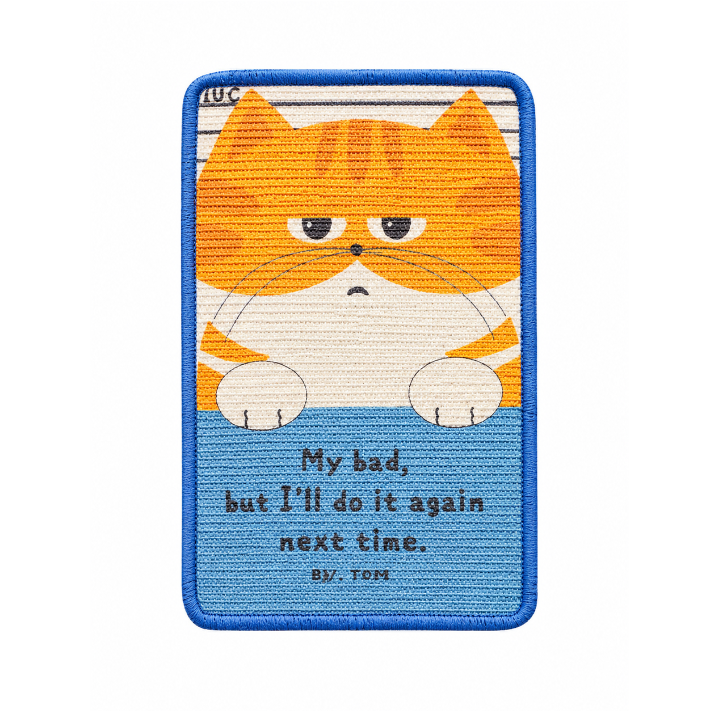 Ginger Cat Calendar-Style Scratcher Board with Wooden Frame