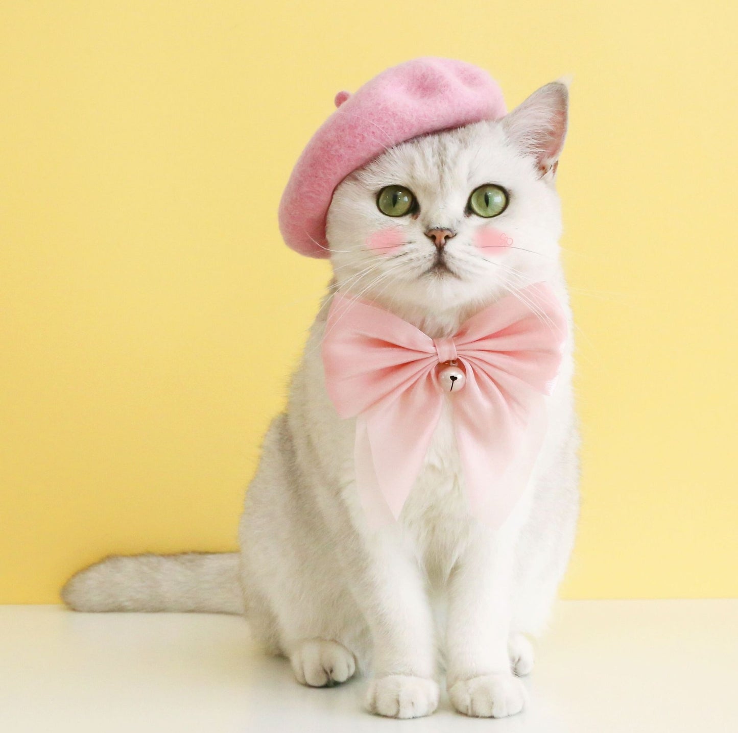Adjustable Pink Velvet Large Bow Pet Collar - {{product.type}} - PawPawUp