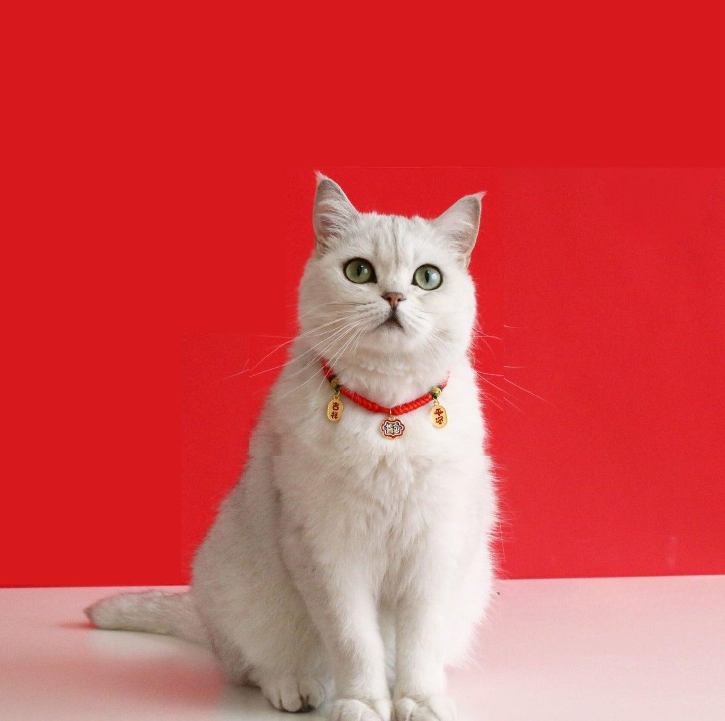 Adjustable Red Cord Pet Collar with Chinese Wishes Pendants - {{product.type}} - PawPawUp