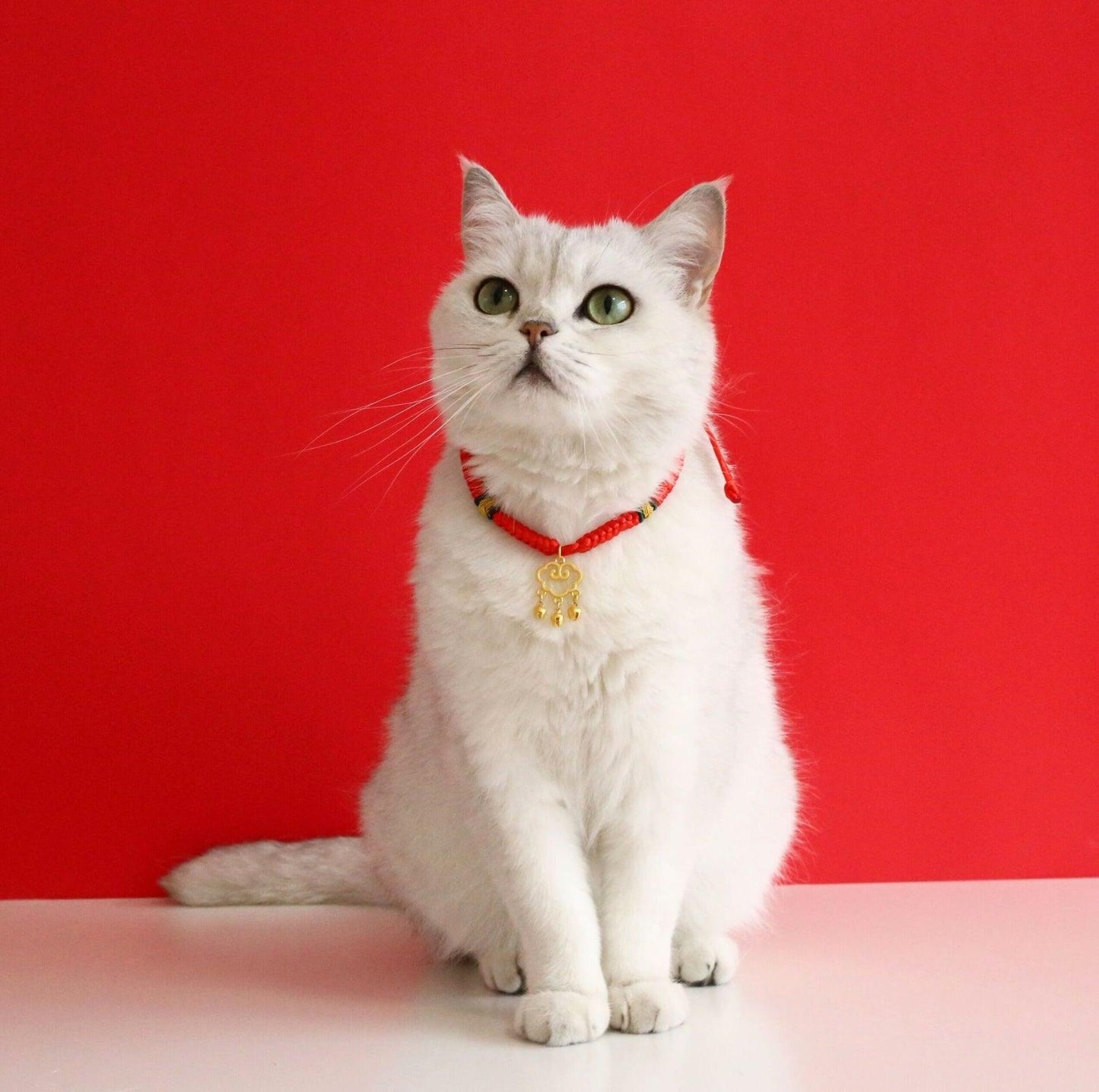 Adjustable Red Cord Pet Collar with Chinese Wishes Pendants - {{product.type}} - PawPawUp