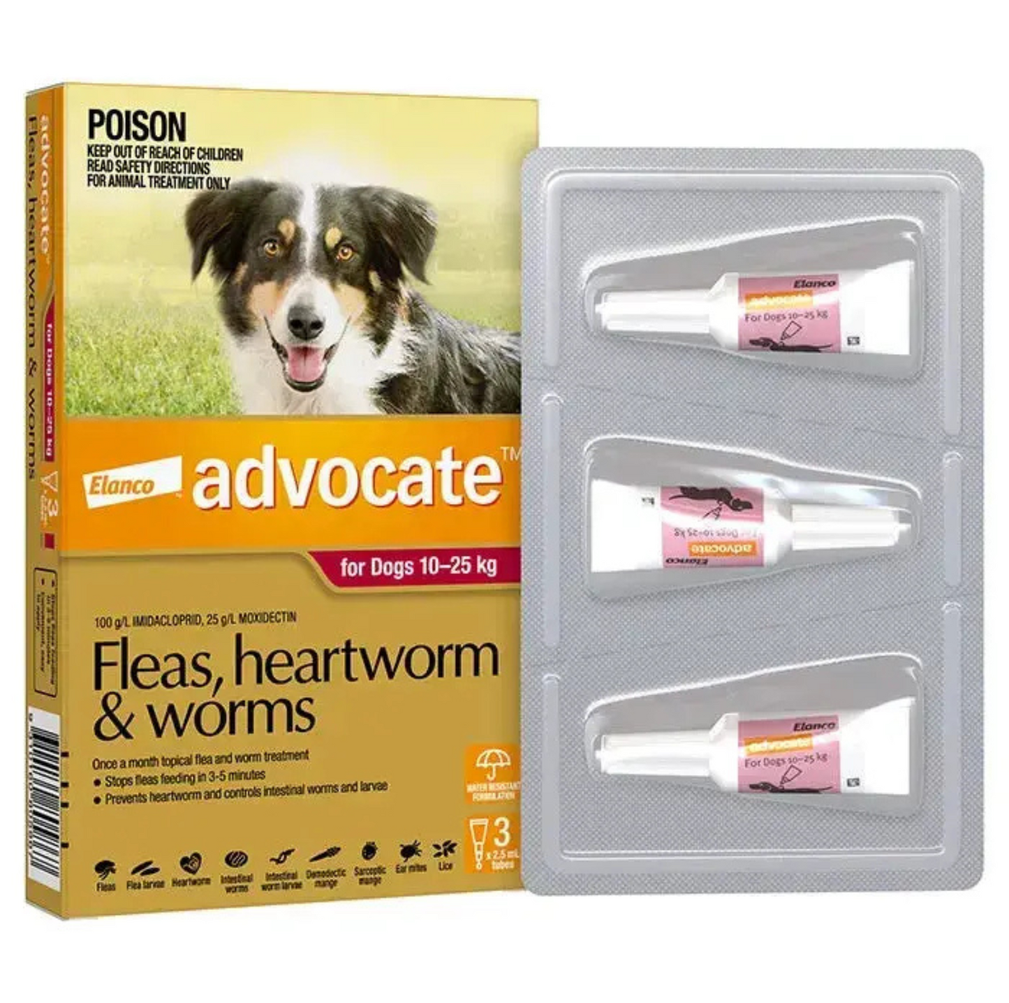 Advocate 10-25kg Dog Spot-On Flea & Worming Treatment - {{product.type}} - PawPawUp