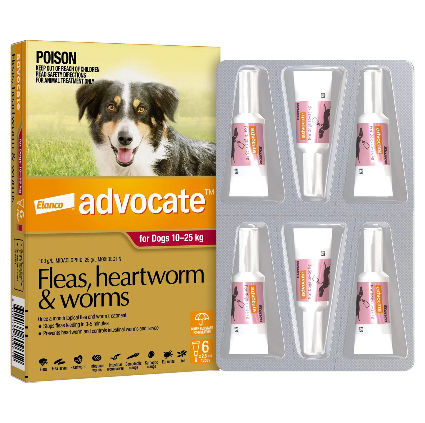 Advocate 10-25kg Dog Spot-On Flea & Worming Treatment - {{product.type}} - PawPawUp