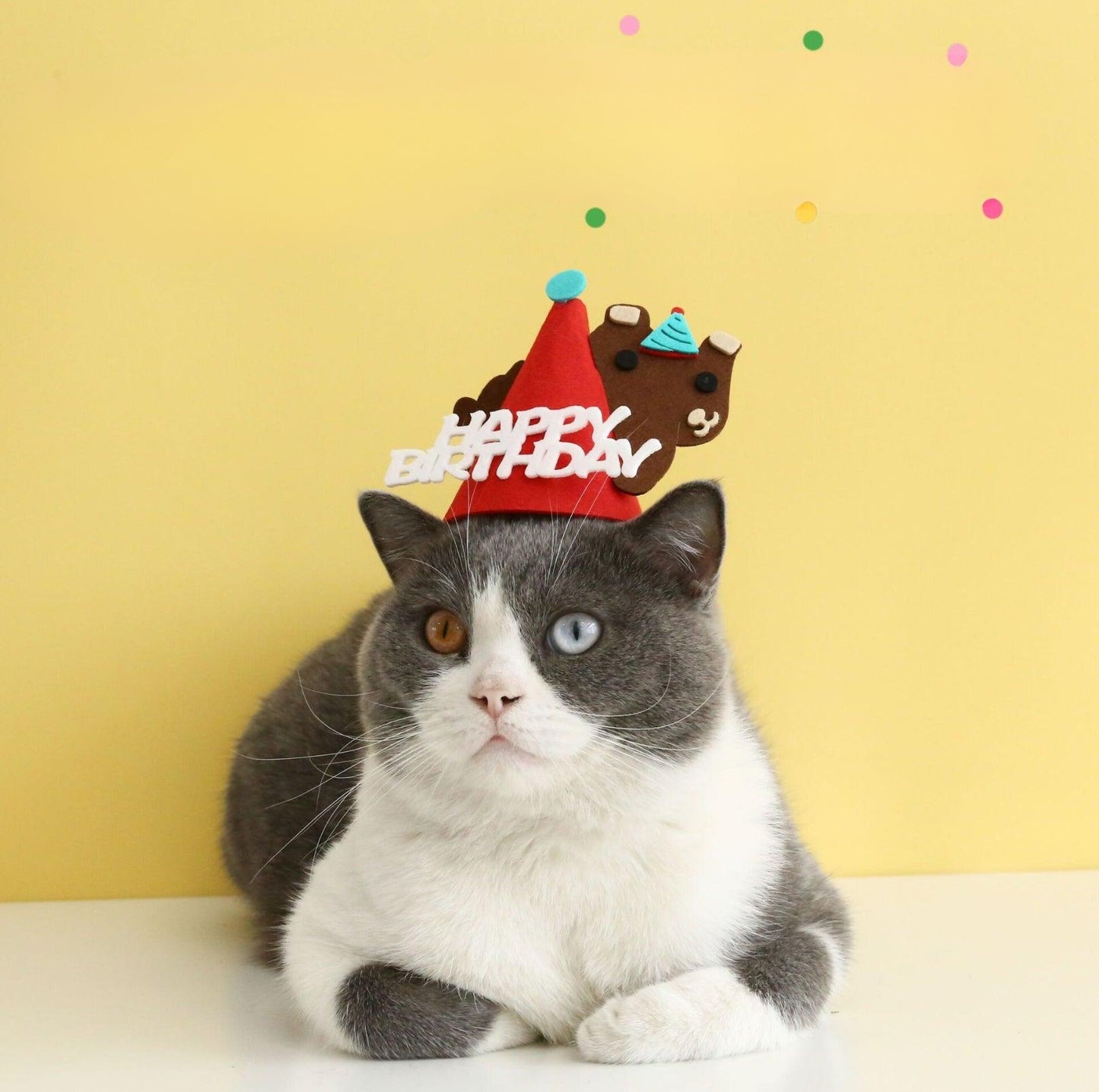 Animal Paw-ty Gear: Adorable Birthday Hat for Pets - {{product.type}} - PawPawUp