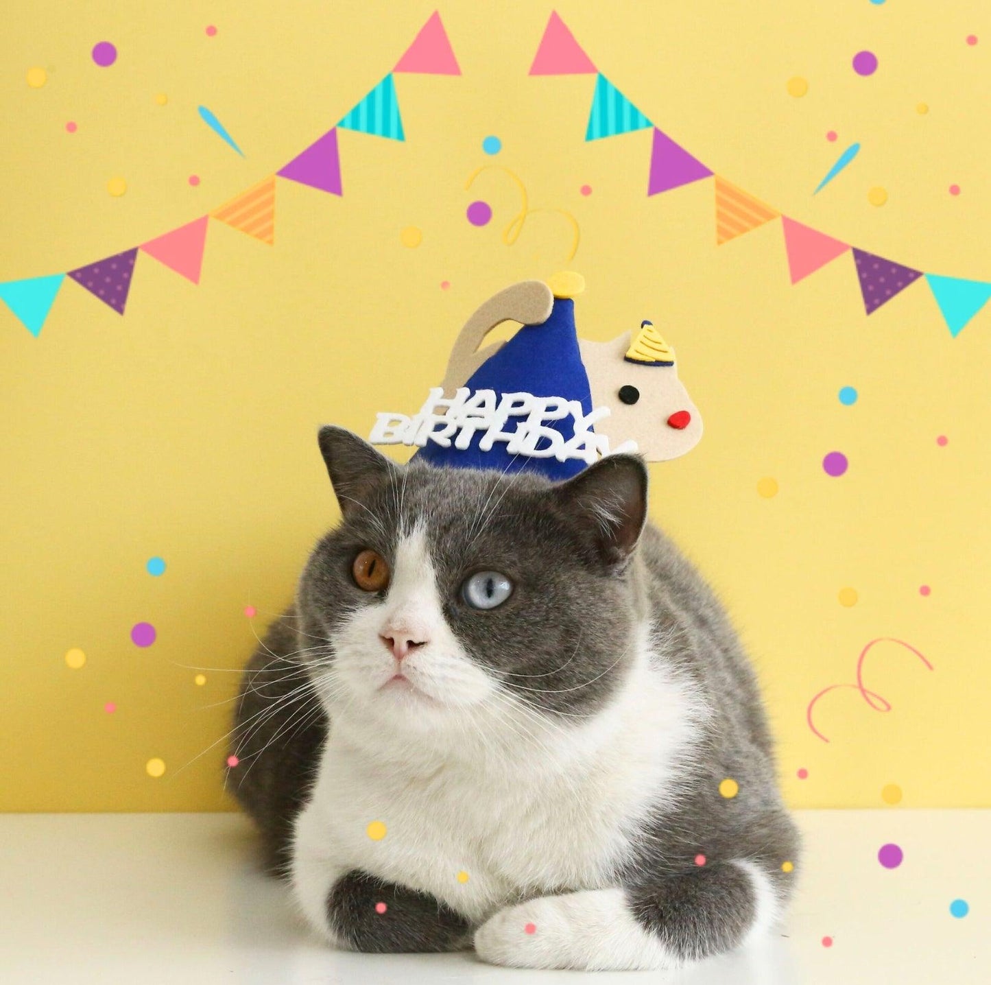 Animal Paw-ty Gear: Adorable Birthday Hat for Pets - {{product.type}} - PawPawUp