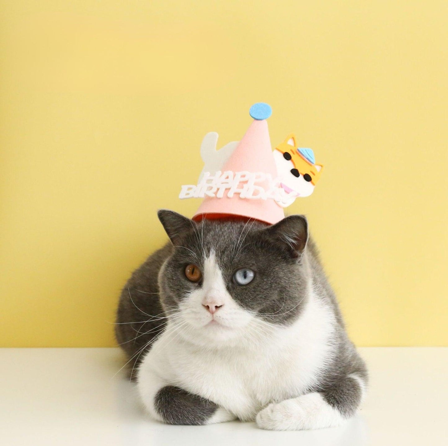 Animal Paw-ty Gear: Adorable Birthday Hat for Pets - {{product.type}} - PawPawUp