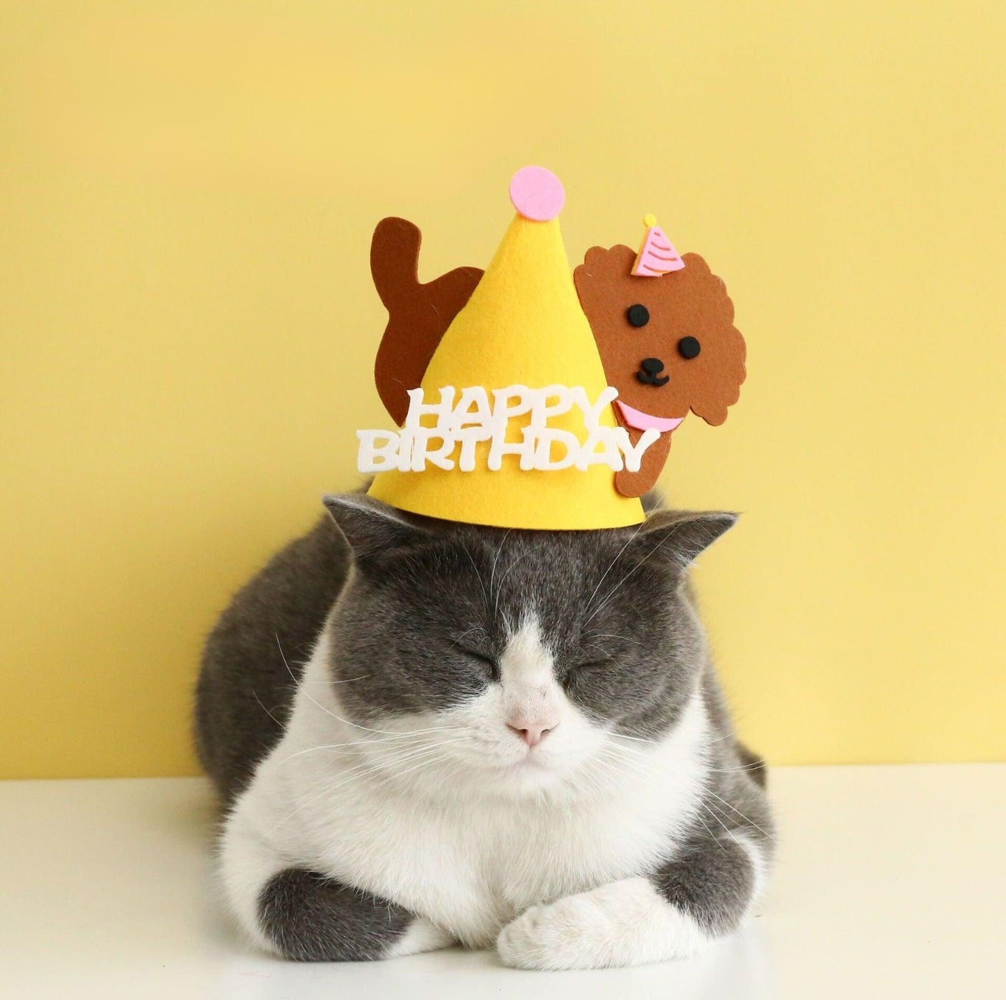 Animal Paw-ty Gear: Adorable Birthday Hat for Pets - {{product.type}} - PawPawUp