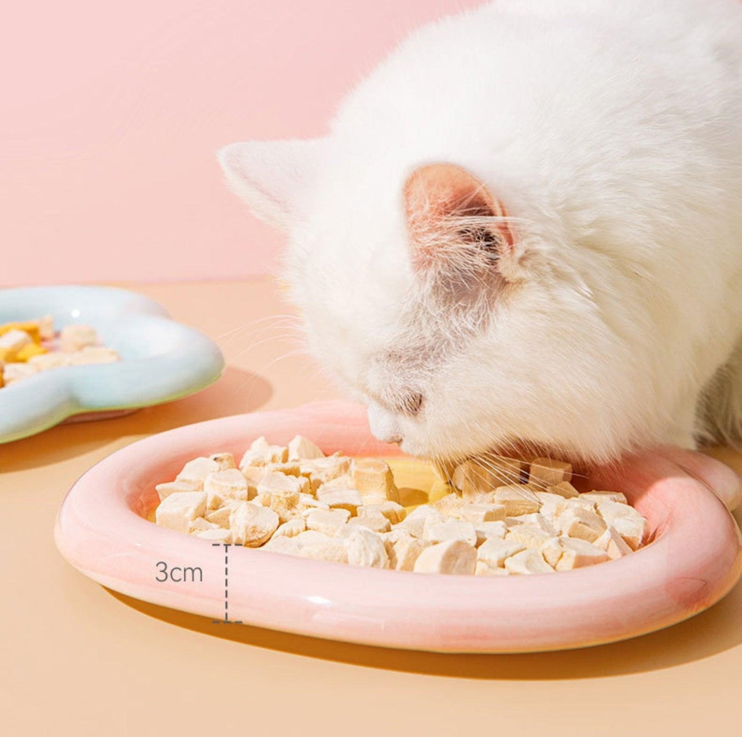 Artisan Ceramic Pet Food Plates Cat Bowl And Small Dog Bowl - {{product.type}} - PawPawUp