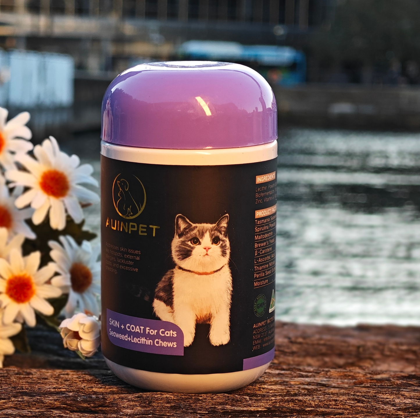 AUINPET SKIN + COAT For Cats Seaweed+Lecithin Chews - {{product.type}} - PawPawUp