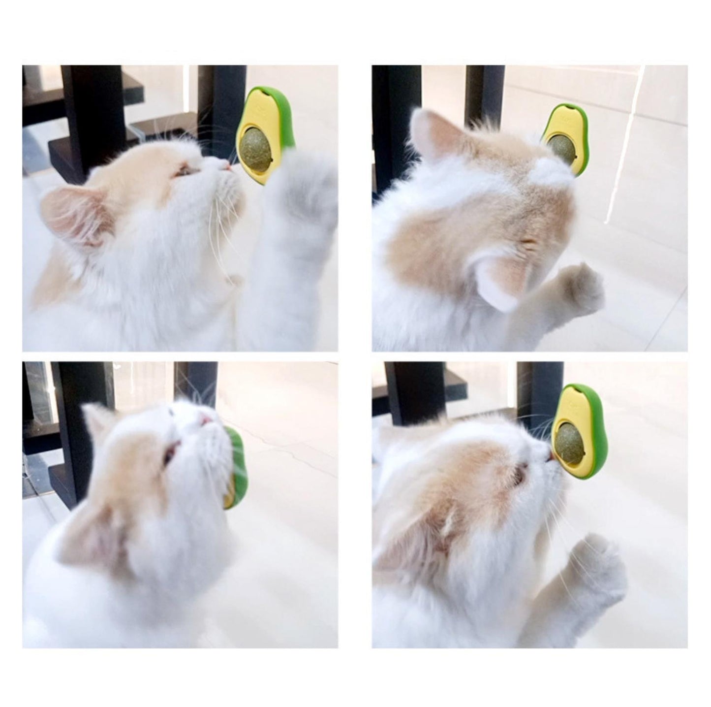 Avocado Catnip Licking Cat Toys - {{product.type}} - PawPawUp