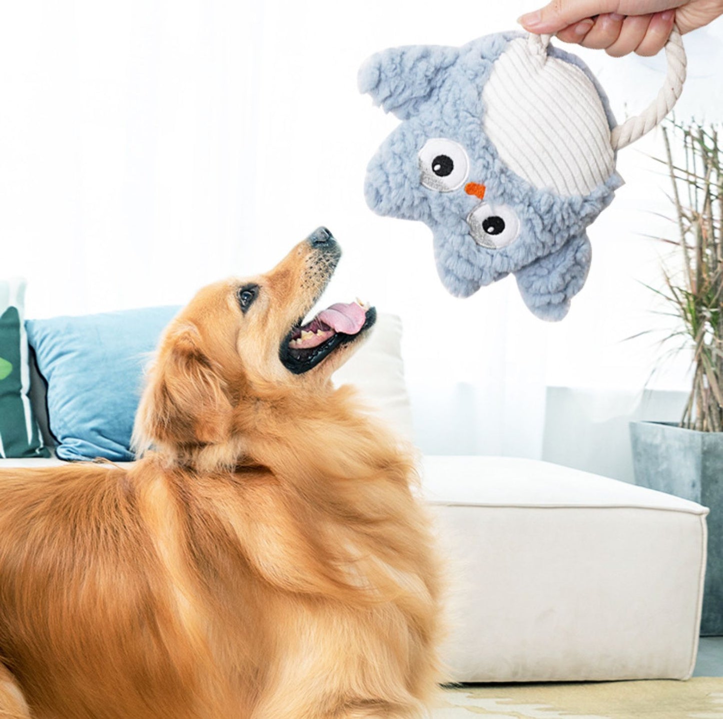 Cartoon Style Squeaky Plush Dog Toys - {{product.type}} - PawPawUp