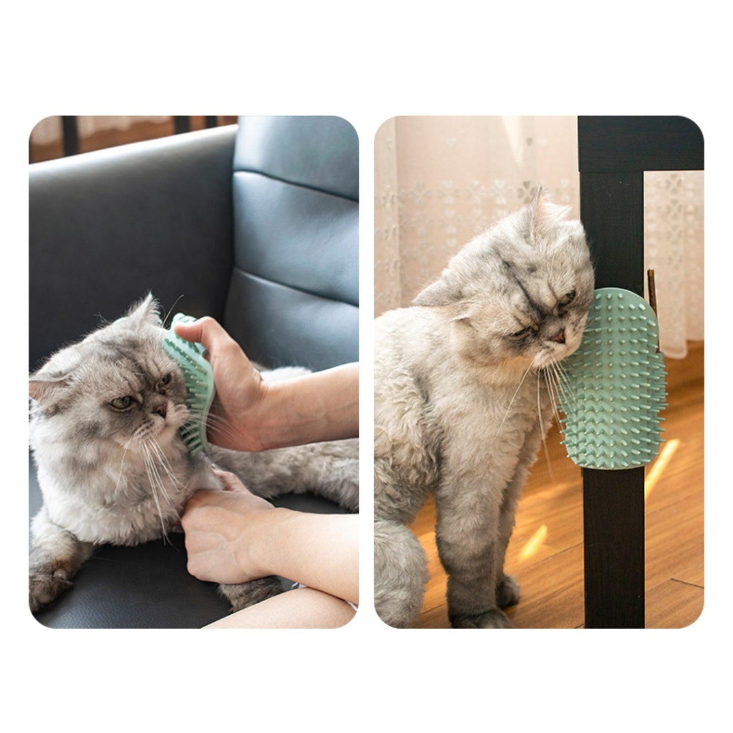 Cat Corner Scratcher Self Grooming Massager - {{product.type}} - PawPawUp
