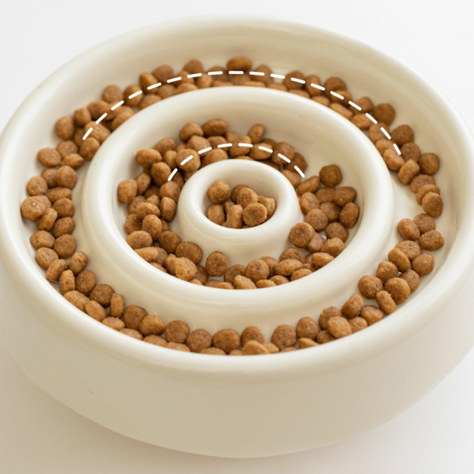 Ceramic Slow Eating Pet Food Bowl for Cats and Dogs - {{product.type}} - PawPawUp