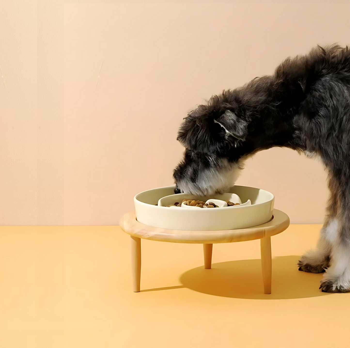Ceramic Slow Feeder Pet Bowl for Dogs and Cats - {{product.type}} - PawPawUp