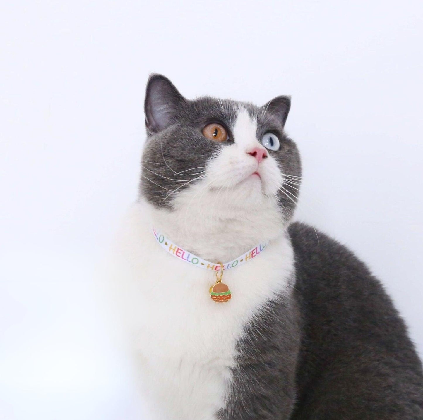 Charming Food Pendant Collar with Copper Bell for Pets - {{product.type}} - PawPawUp