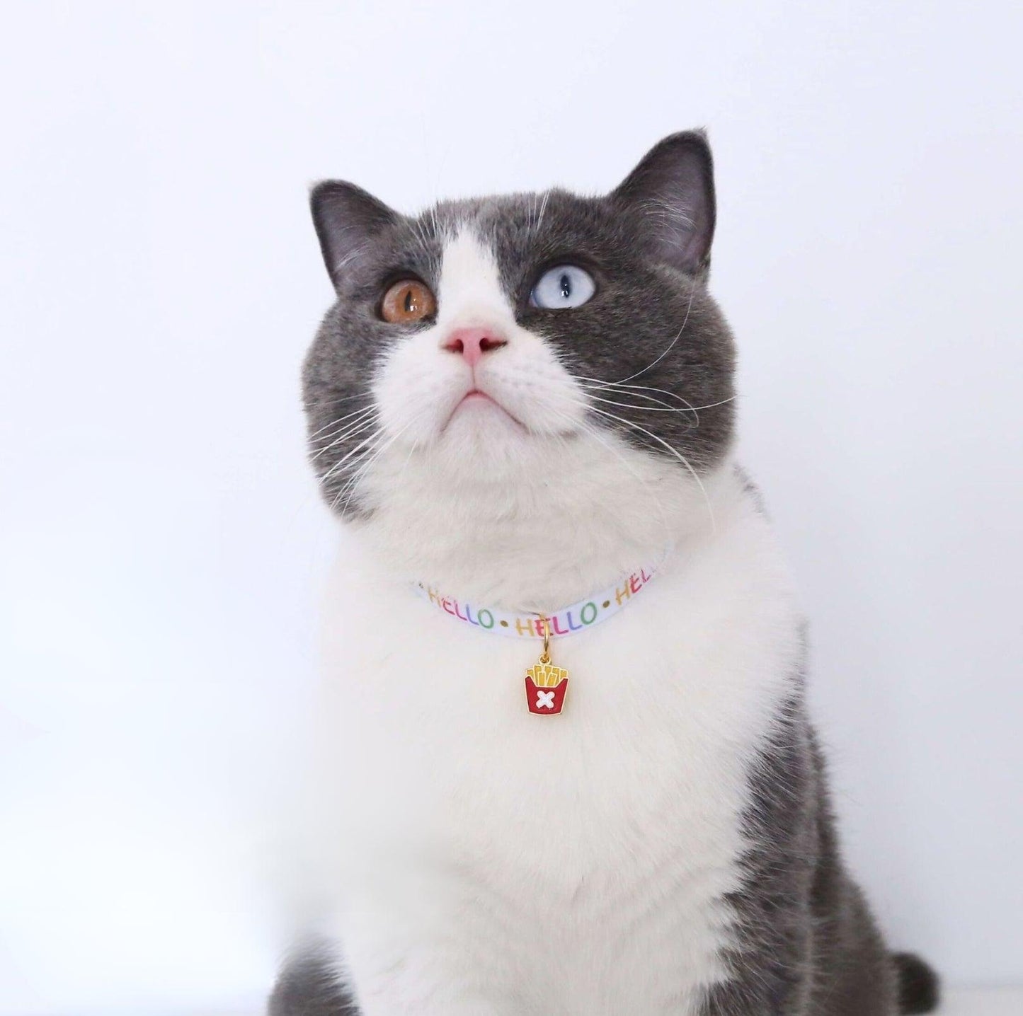 Charming Food Pendant Collar with Copper Bell for Pets - {{product.type}} - PawPawUp