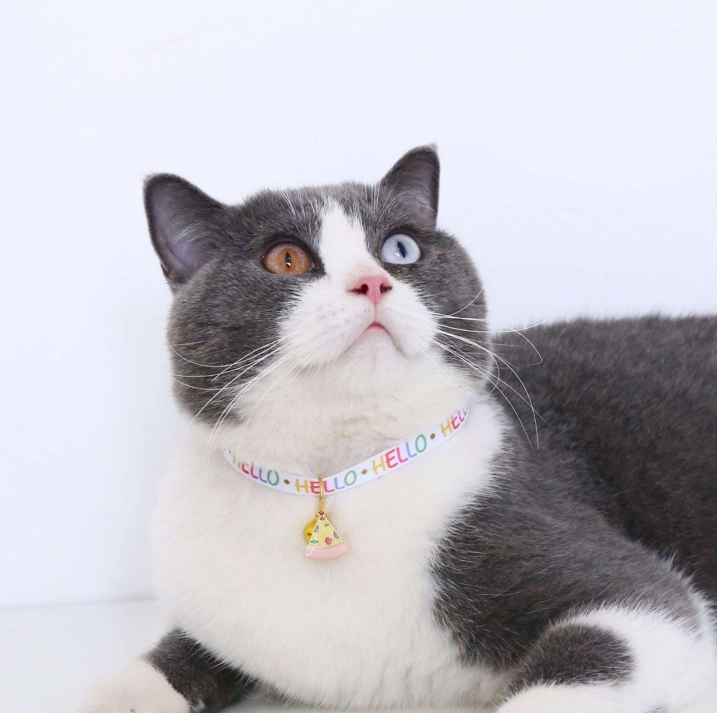 Charming Food Pendant Collar with Copper Bell for Pets - {{product.type}} - PawPawUp