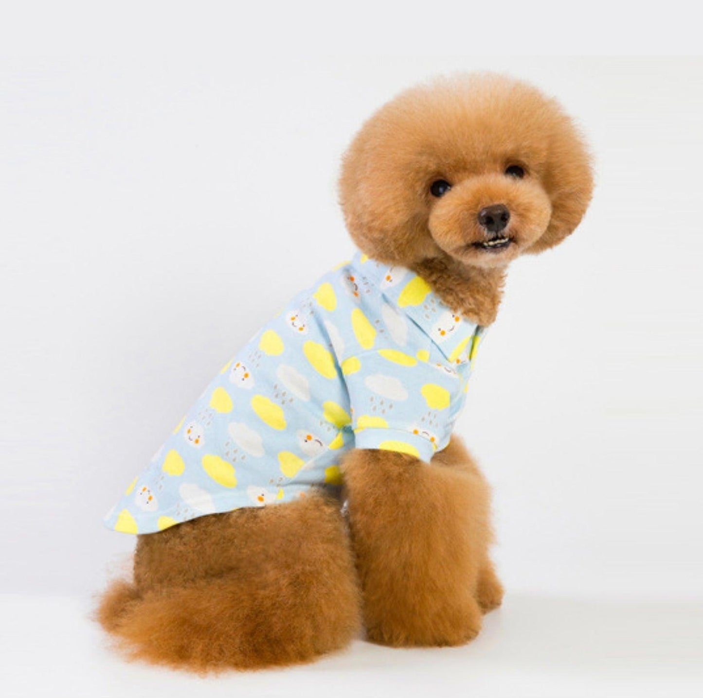 Chic Cotton Pet Shirt - {{product.type}} - PawPawUp