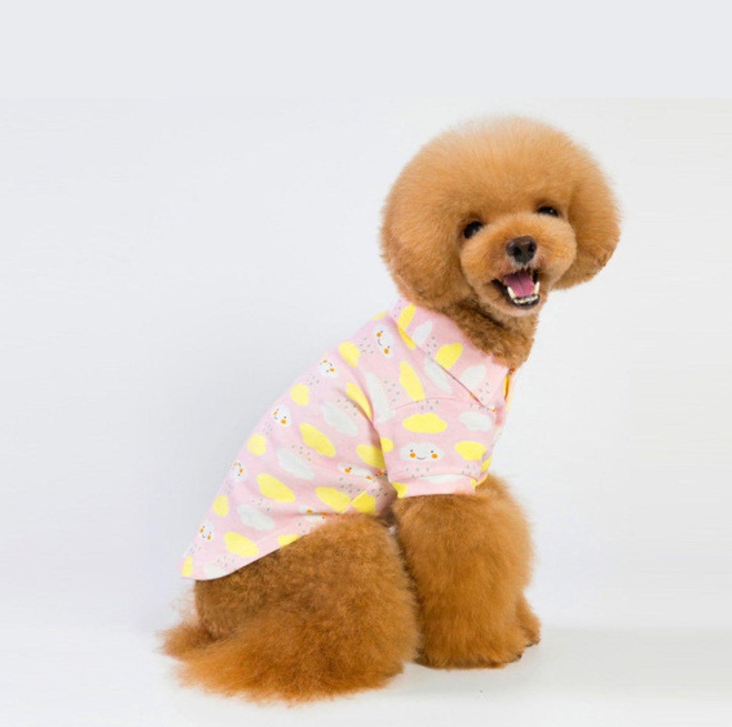 Chic Cotton Pet Shirt - {{product.type}} - PawPawUp