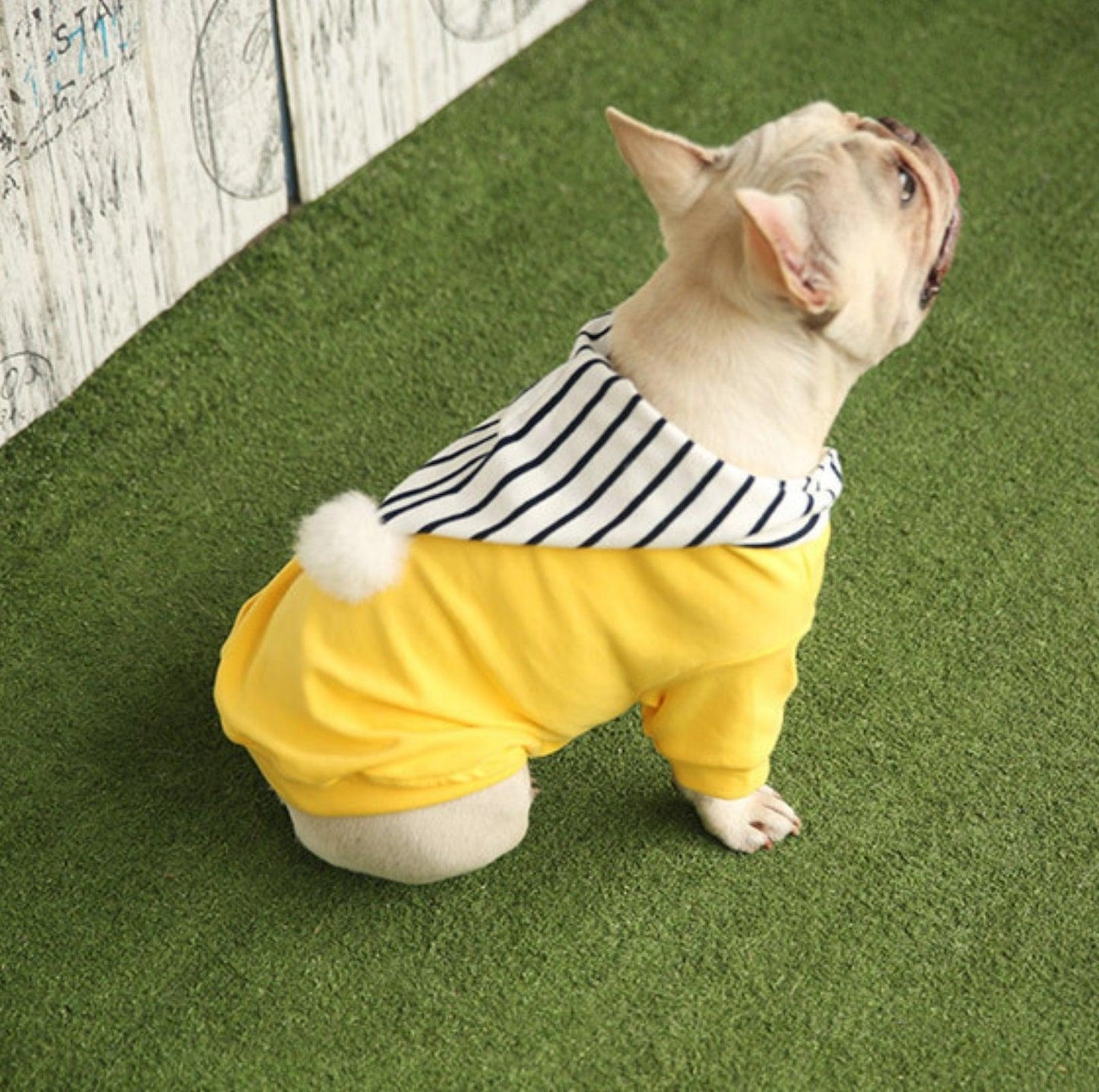 Chic Hooded Pet Jacket - Cozy Cotton Apparel - {{product.type}} - PawPawUp