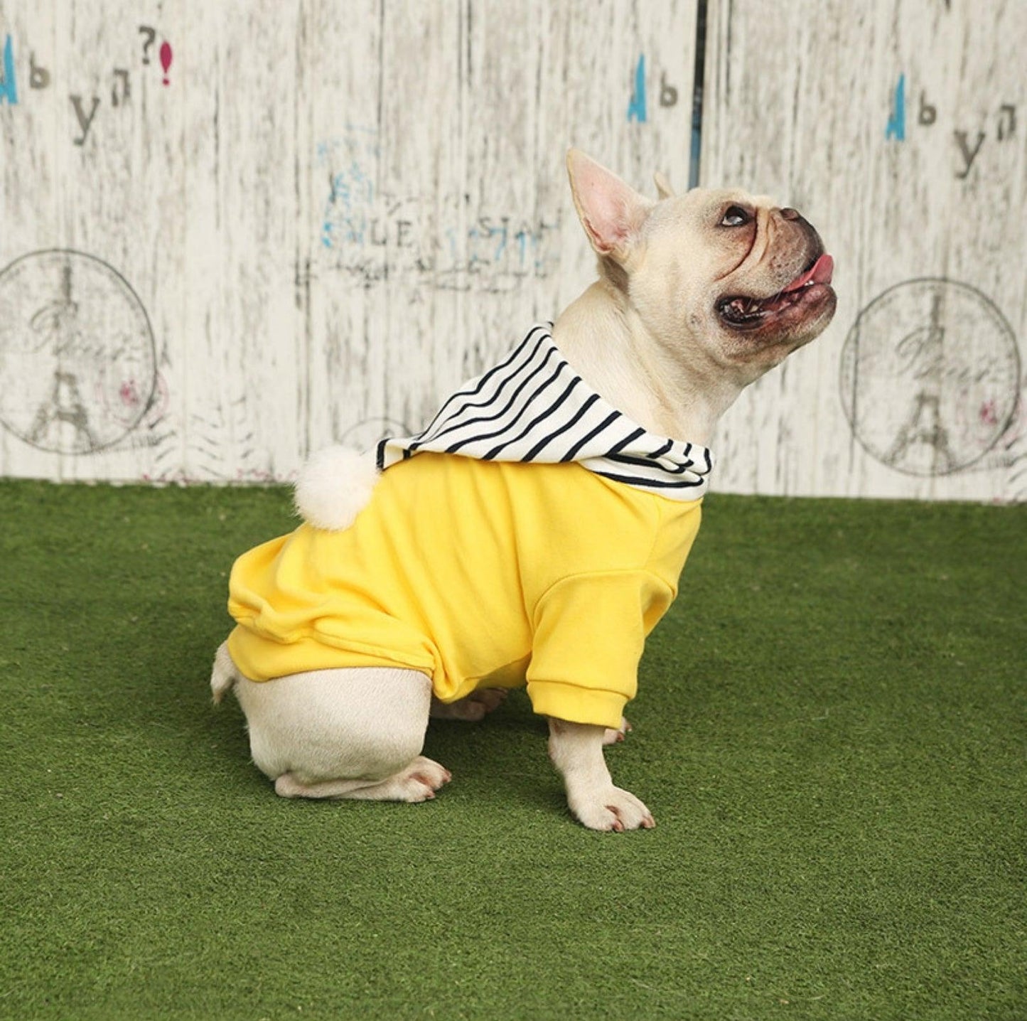 Chic Hooded Pet Jacket - Cozy Cotton Apparel - {{product.type}} - PawPawUp