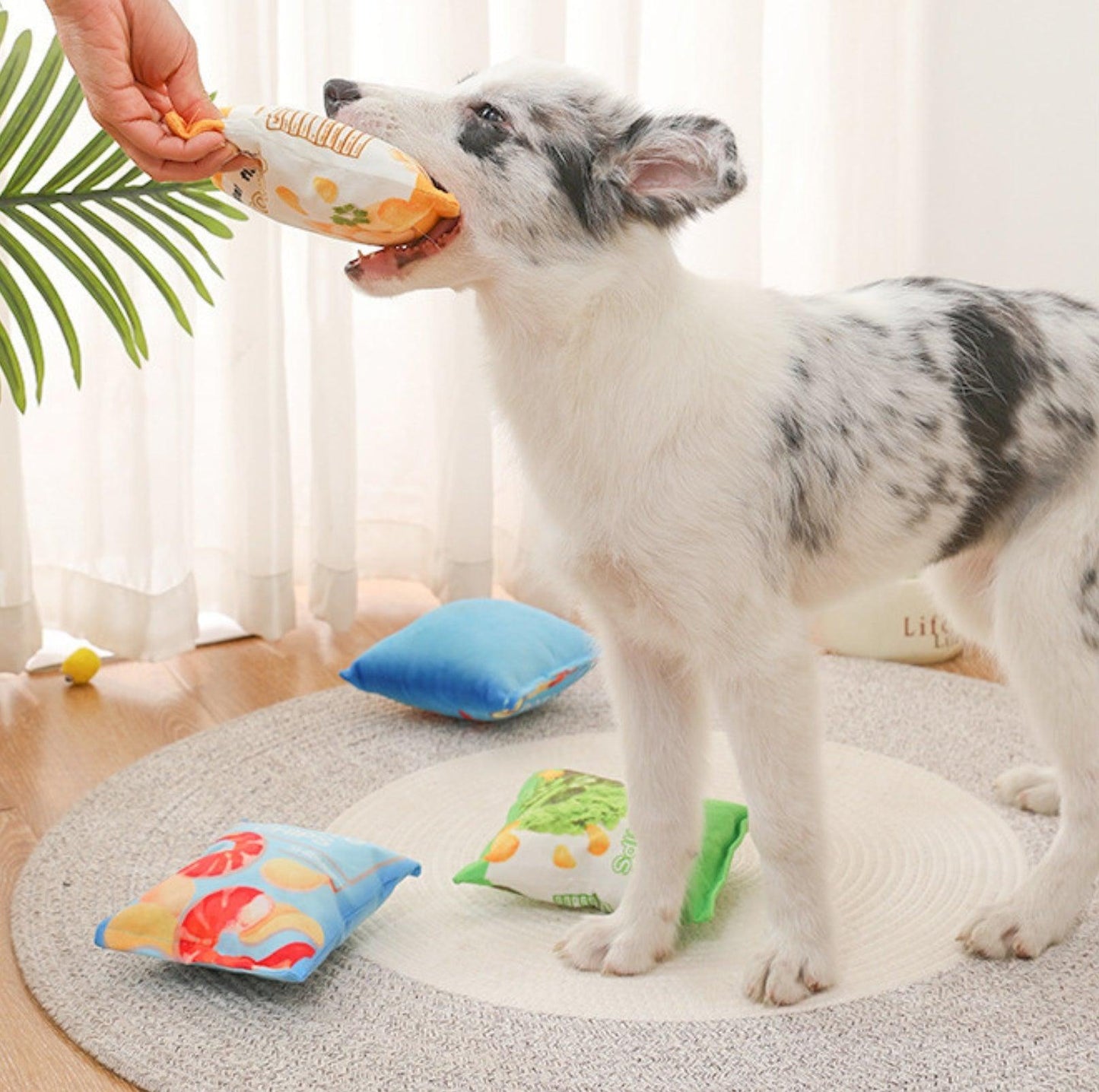 Chips Paw-ty: Plush Pet Chewing Toys with Built-in Squeakers - {{product.type}} - PawPawUp