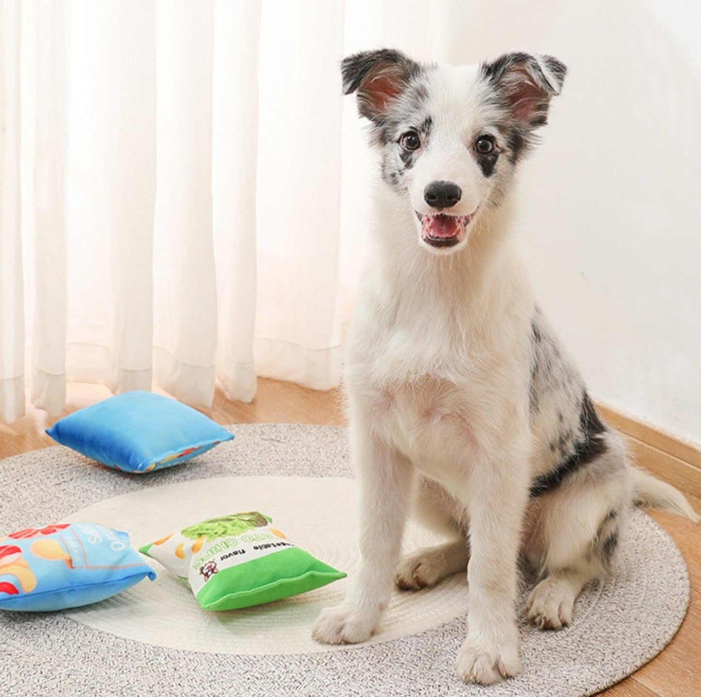 Chips Paw-ty: Plush Pet Chewing Toys with Built-in Squeakers - {{product.type}} - PawPawUp