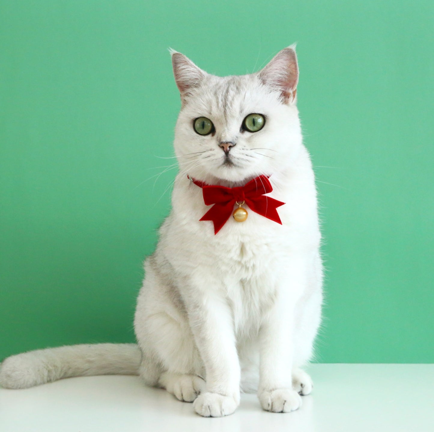 Christmas Velvet Bow Tie Pet Collar - {{product.type}} - PawPawUp