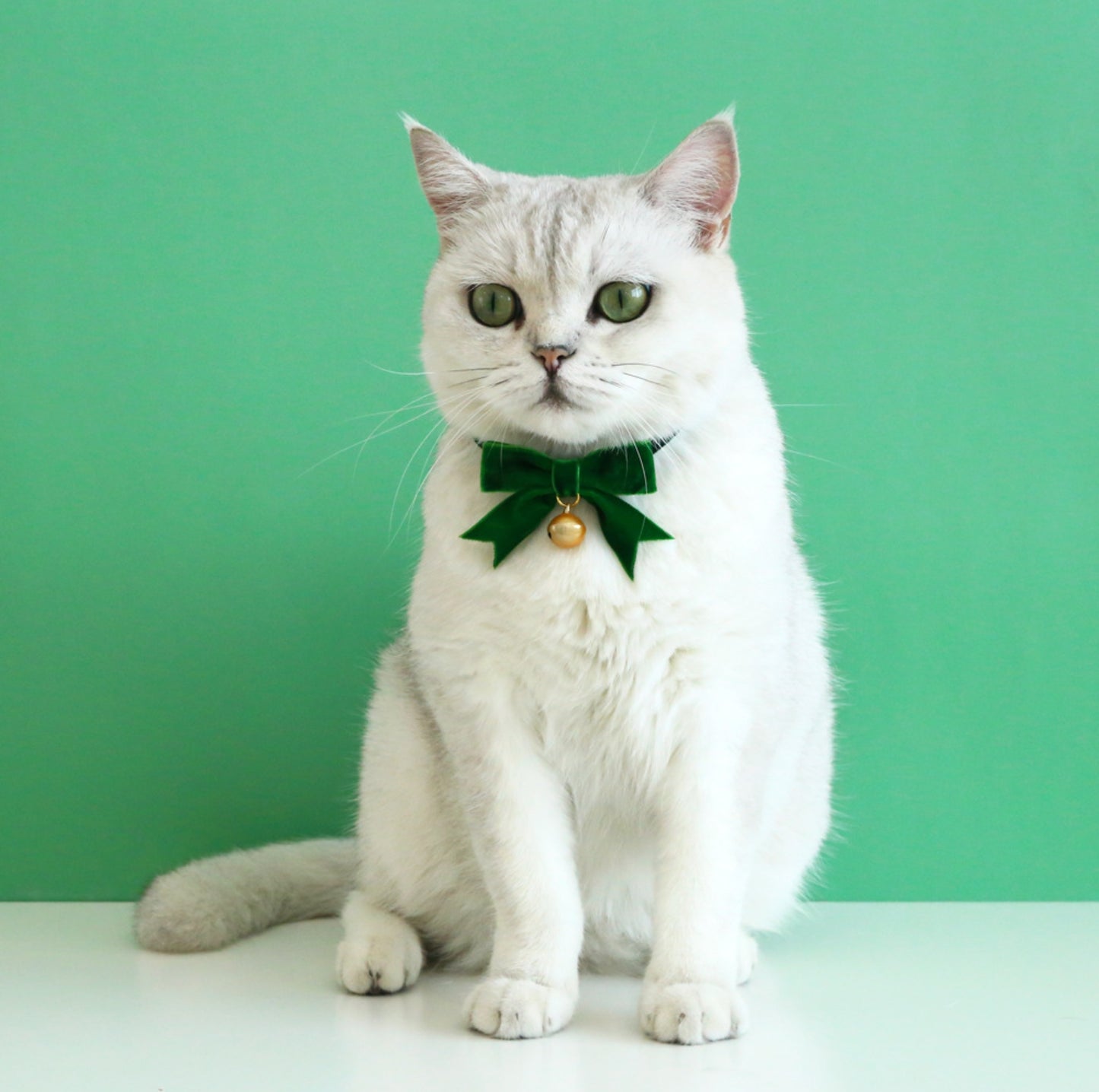 Christmas Velvet Bow Tie Pet Collar - {{product.type}} - PawPawUp