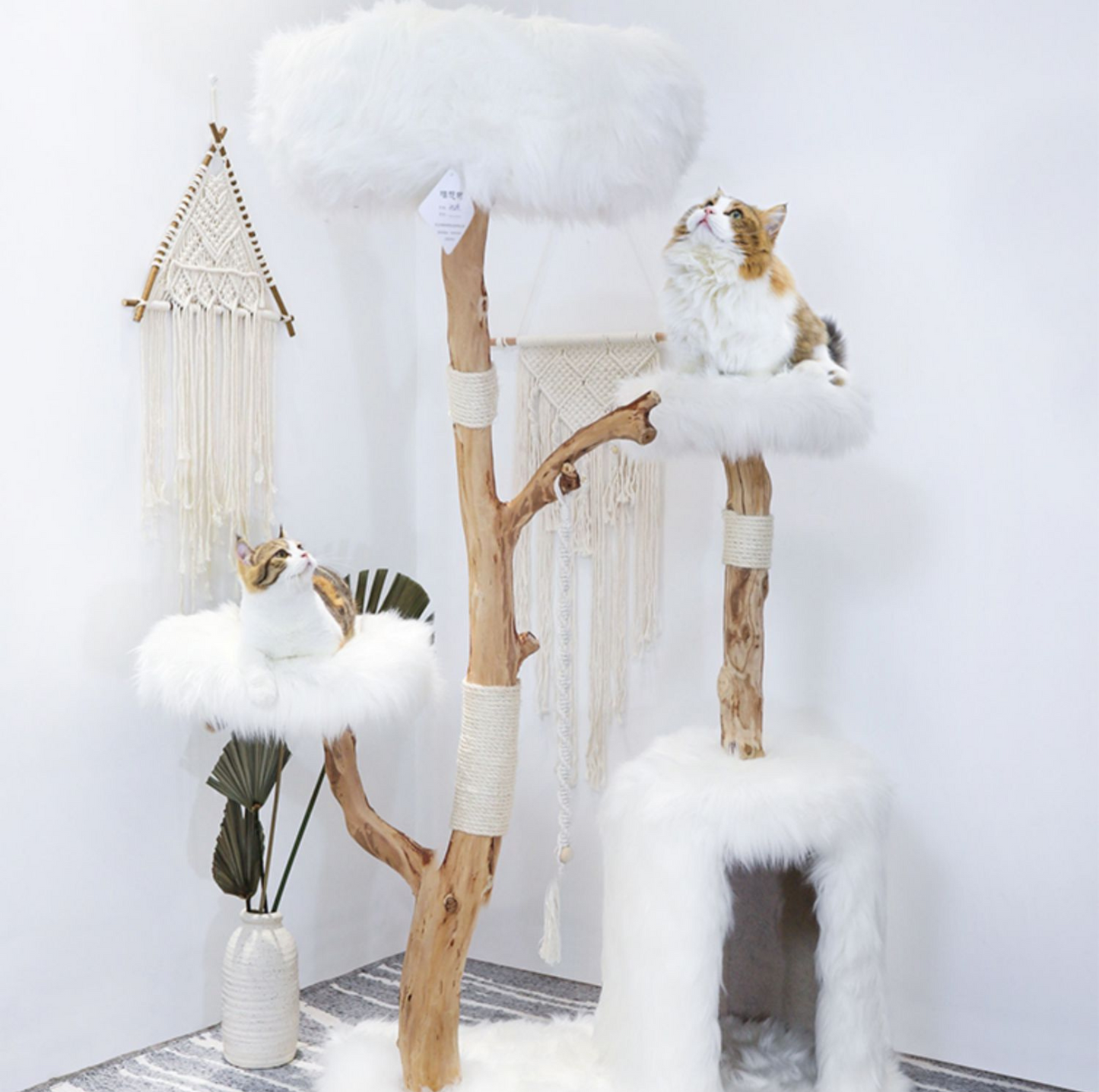 Cmisstree Cloud Series Cat Climbing Tree with House - Natural Fruitwood - {{product.type}} - PawPawUp