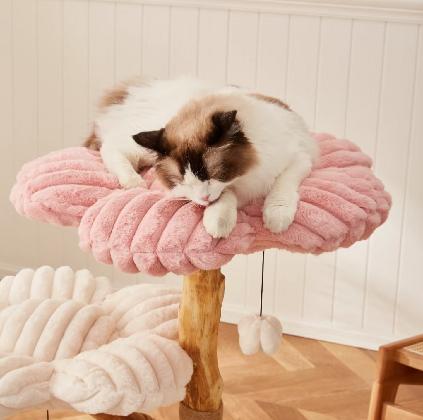 Cmisstree Flower-Inspired Wooden Cat Tree with Cat House - Natural Fruitwood - {{product.type}} - PawPawUp