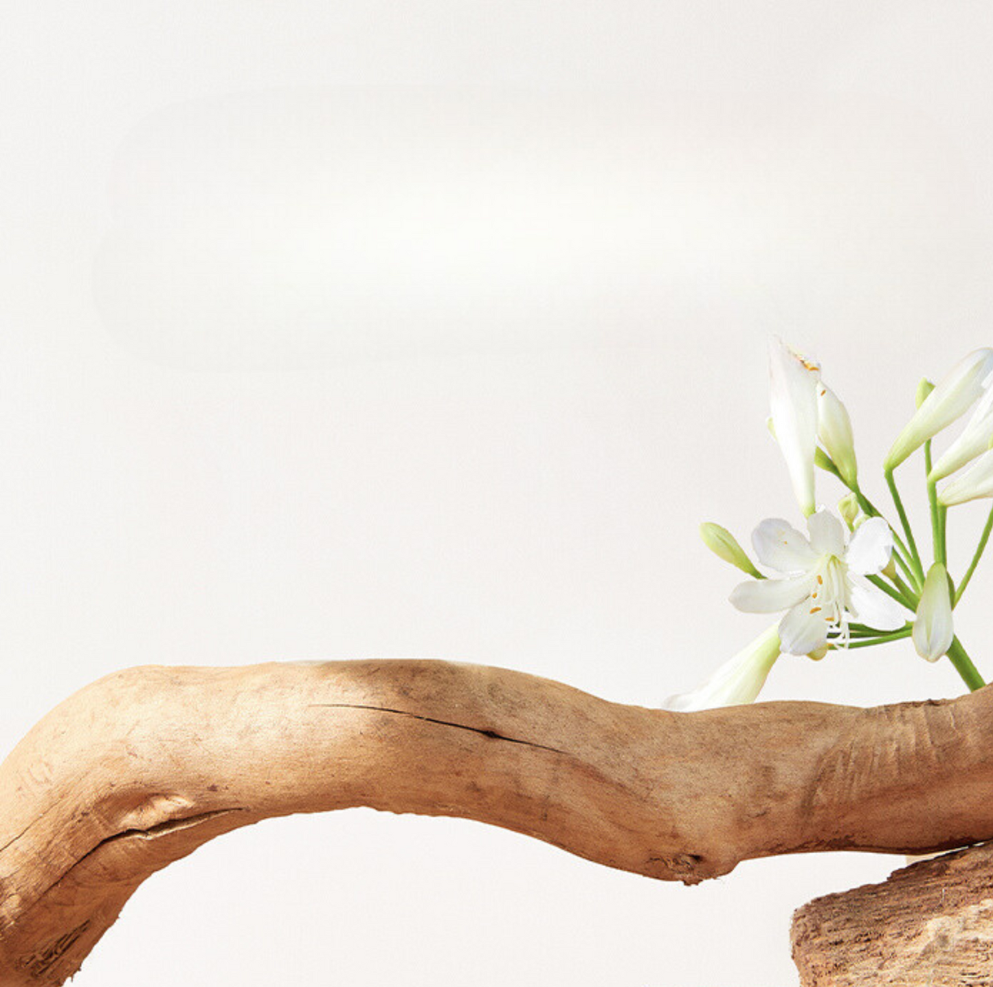 Cmisstree Flower-Inspired Wooden Cat Tree with Cat House - Natural Fruitwood - {{product.type}} - PawPawUp