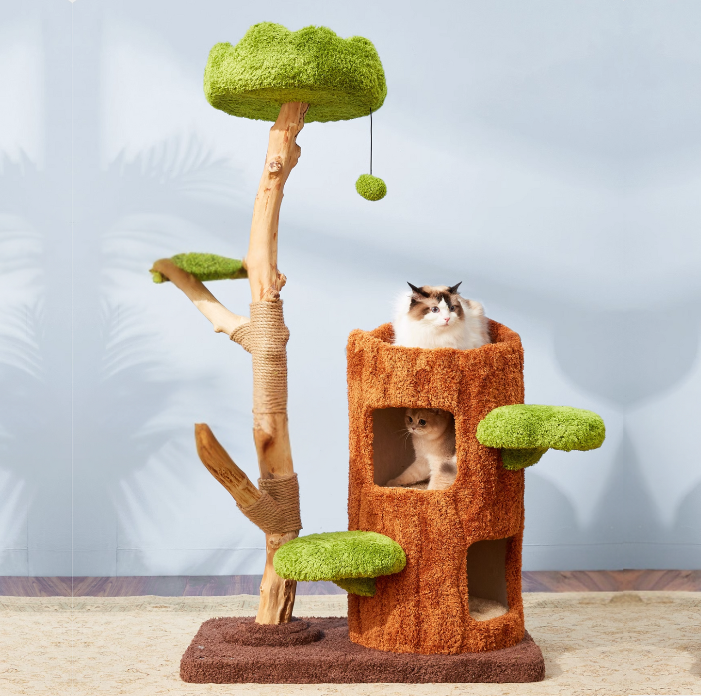 Cmisstree Tree Hollow Solid Wood 5-Tired Large Cat Tree - {{product.type}} - PawPawUp