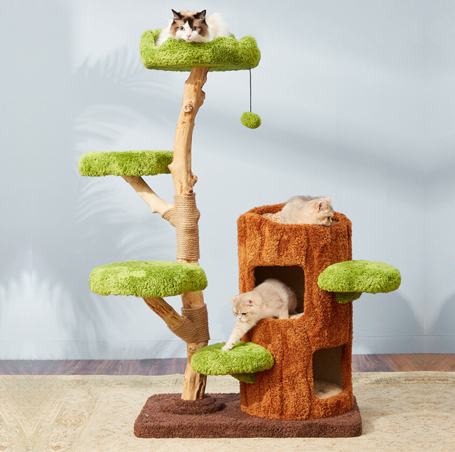 Cmisstree Tree Hollow Solid Wood 5-Tired Large Cat Tree - {{product.type}} - PawPawUp