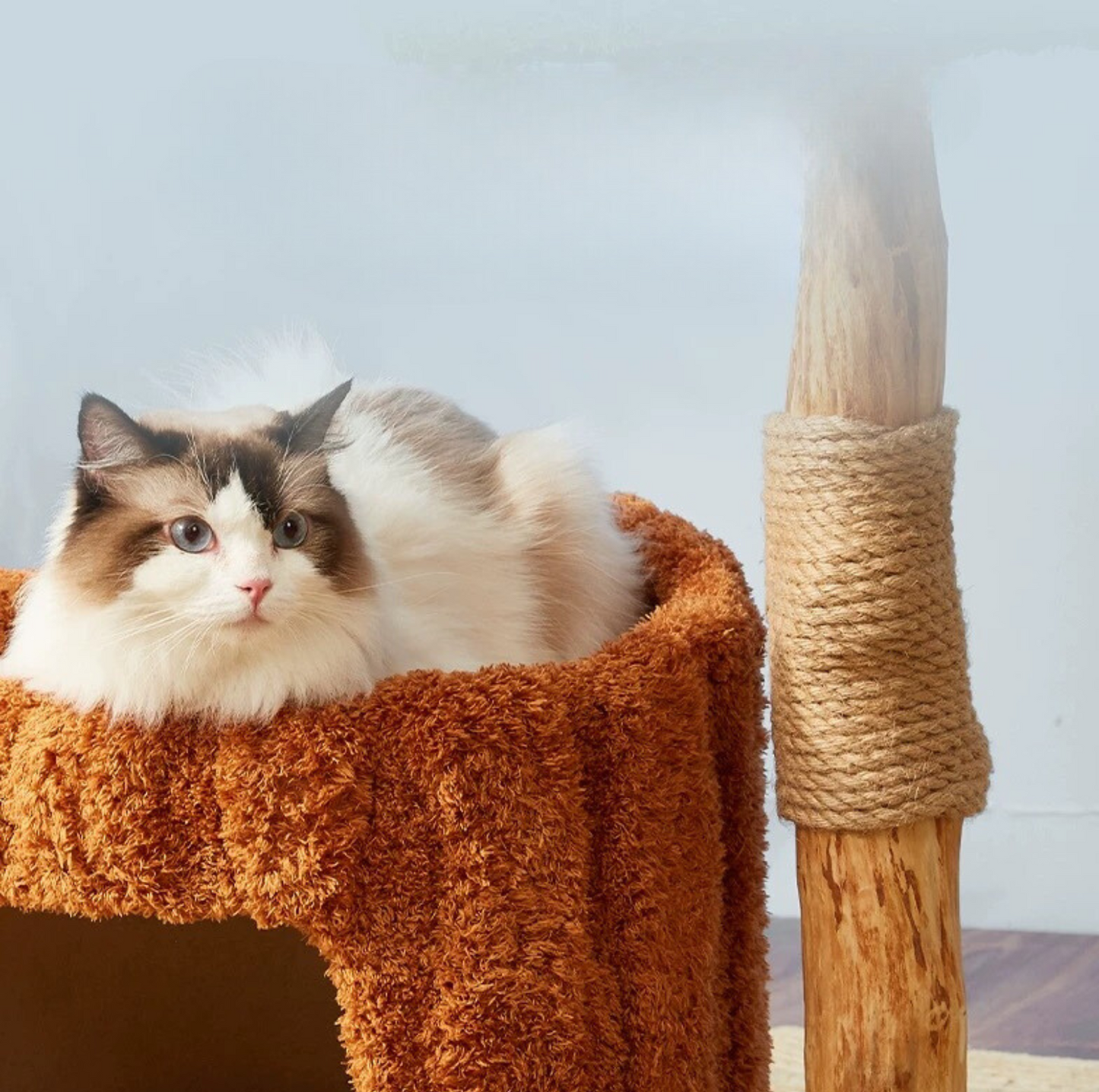 Cmisstree Tree Hollow Solid Wood 5-Tired Large Cat Tree - {{product.type}} - PawPawUp