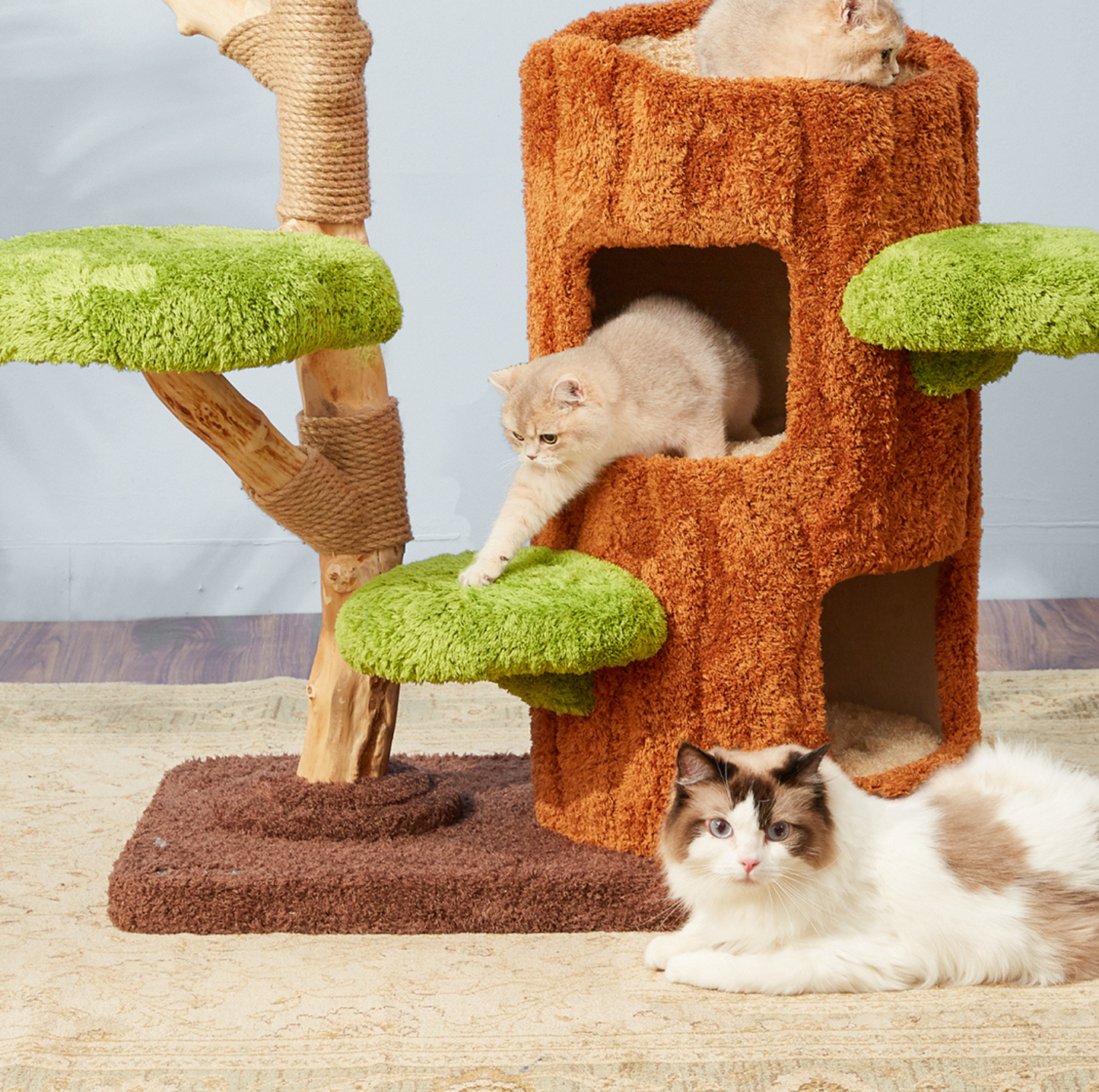 Cmisstree Tree Hollow Solid Wood 5-Tired Large Cat Tree - {{product.type}} - PawPawUp