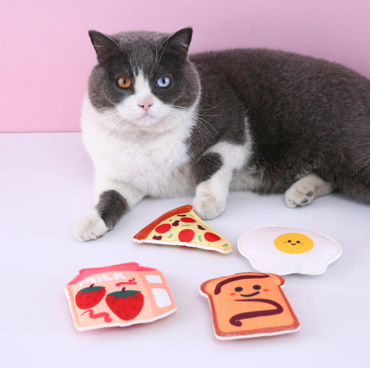 Cute Food-Themed Catnip Toy Set (4pcs) + Cat Paw Storage Bag - {{product.type}} - PawPawUp