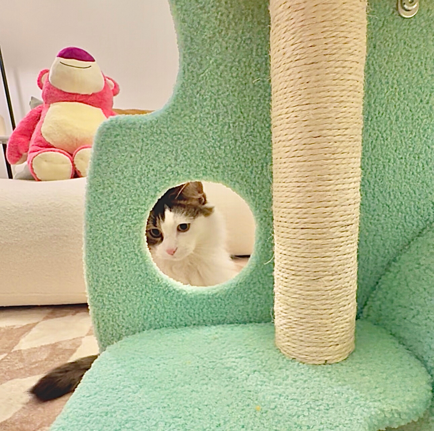 Dreamy Macaroon Party Cat Tree with Scratching Post and Nest - {{product.type}} - PawPawUp
