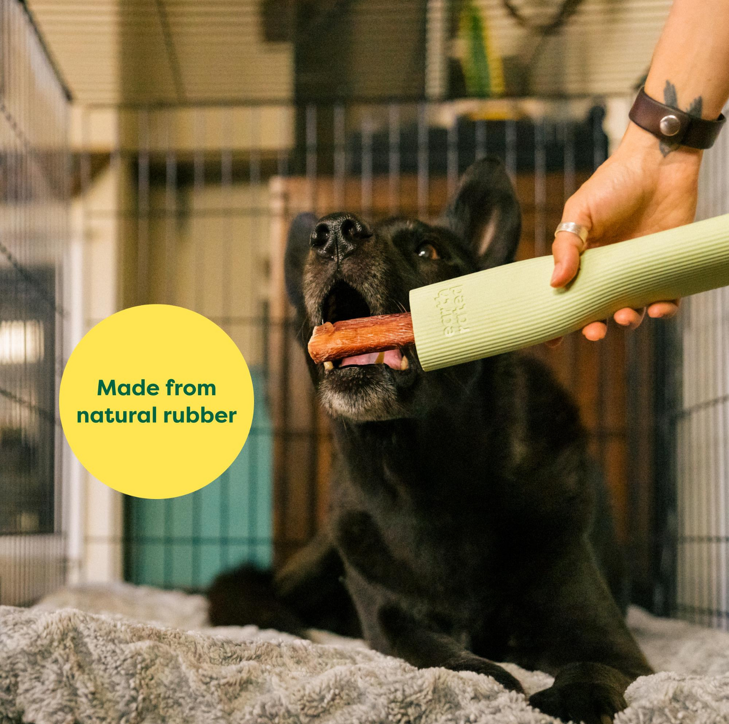 Earth Rated Dog Chew Toy - The Ultimate Snack Holder - {{product.type}} - PawPawUp