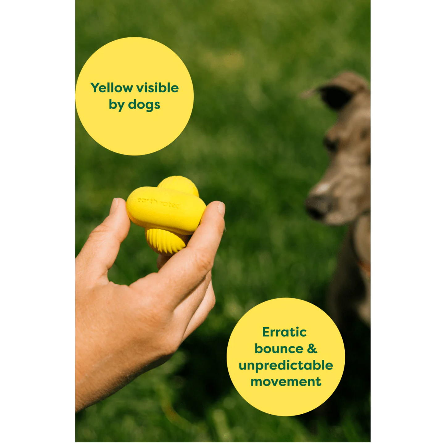 Earth Rated Fetch Dog Toy - {{product.type}} - PawPawUp