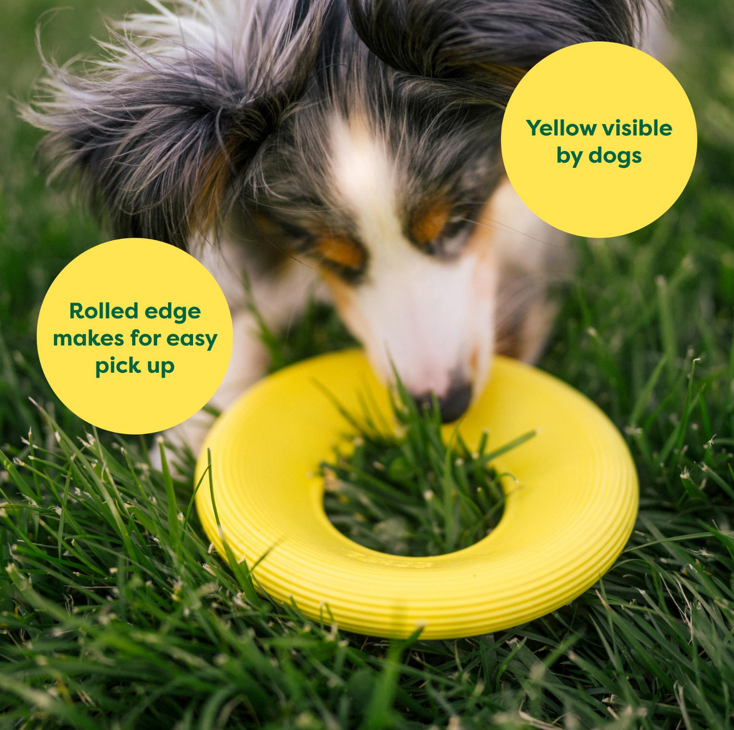Earth Rated Flyer Dog Toy - {{product.type}} - PawPawUp