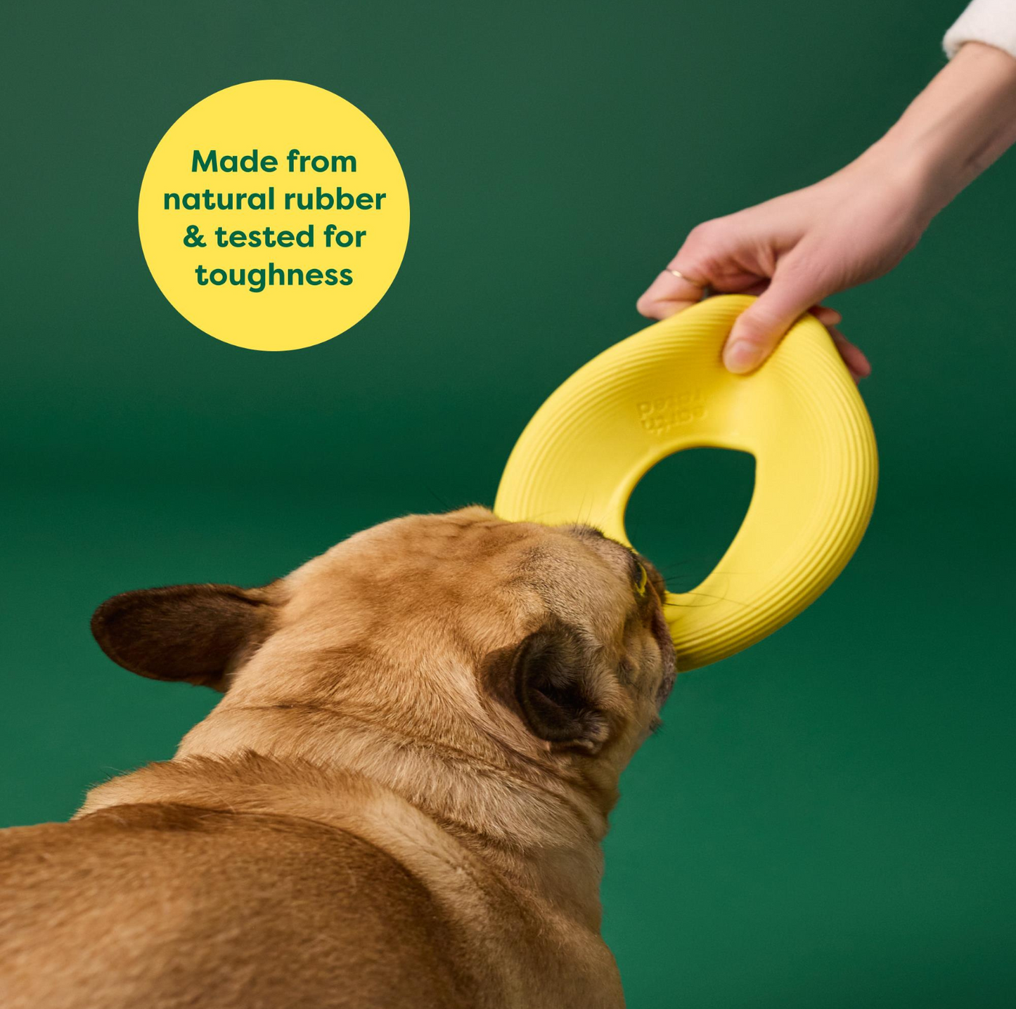 Earth Rated Flyer Dog Toy - {{product.type}} - PawPawUp