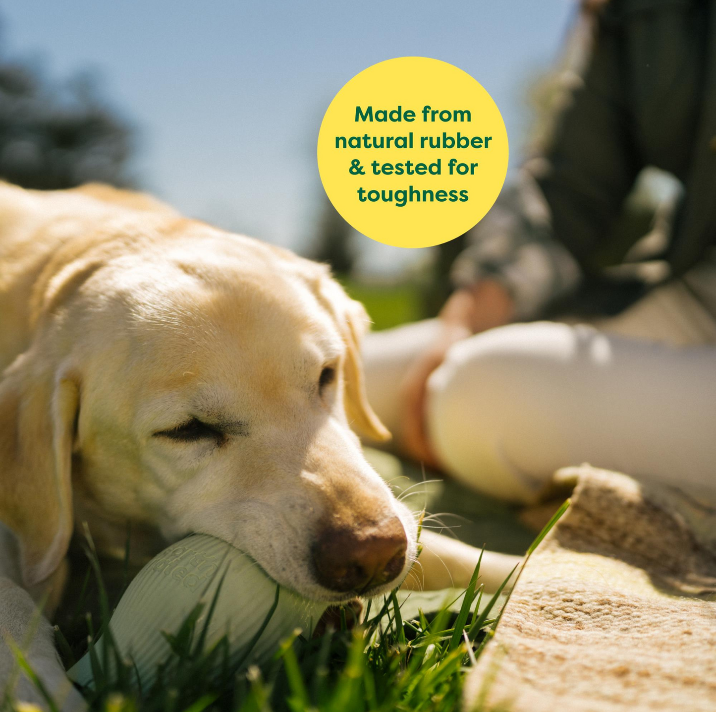 Earth Rated Treat Dog Toy - {{product.type}} - PawPawUp