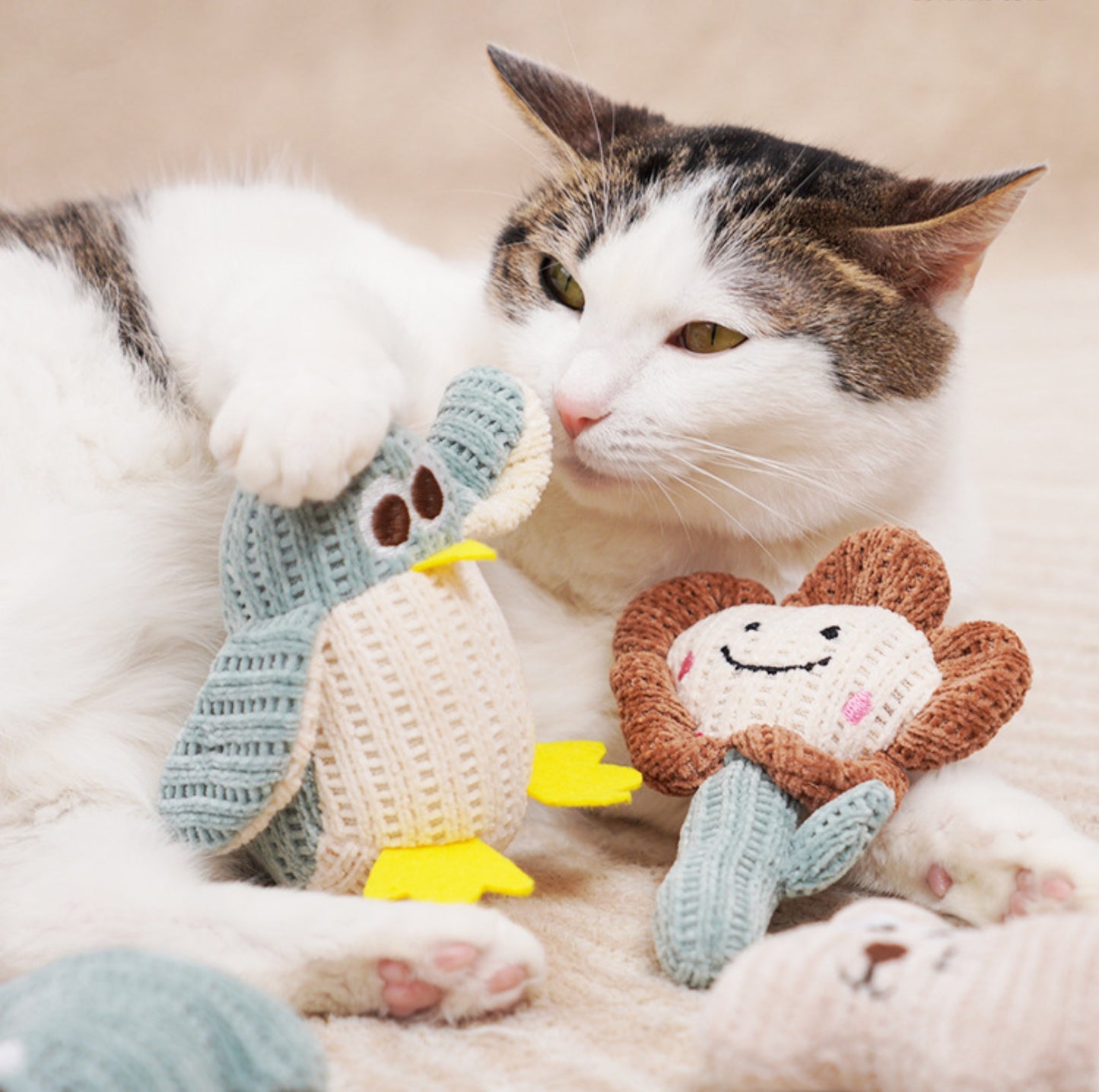 Eco-friendly Woven Yarn Catnip Toys - {{product.type}} - PawPawUp