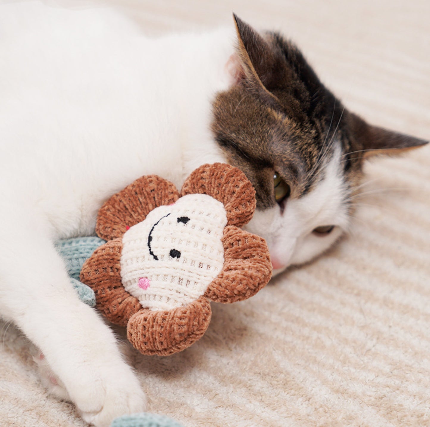 Eco-friendly Woven Yarn Catnip Toys - {{product.type}} - PawPawUp
