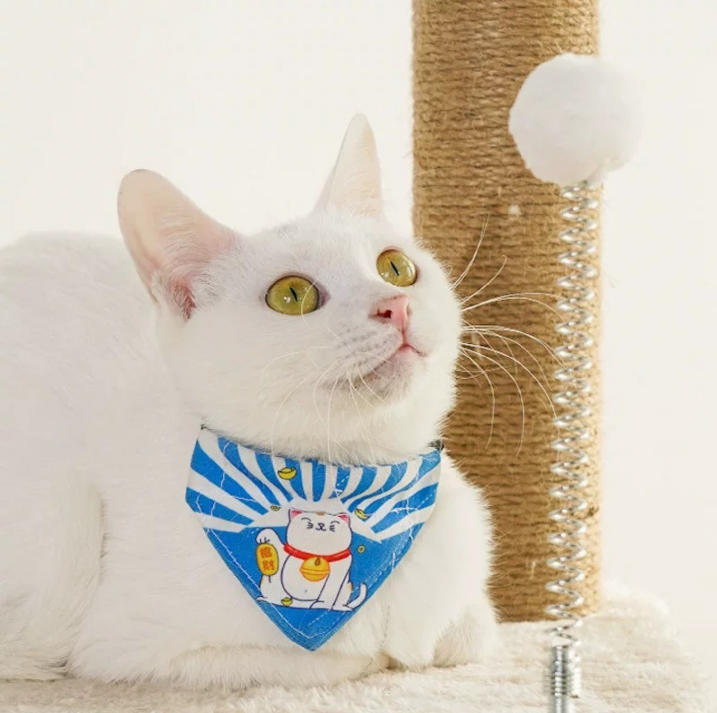 Ella's Castle: Super Large Cat Tree -9 Tiers, Height 173cm - {{product.type}} - PawPawUp