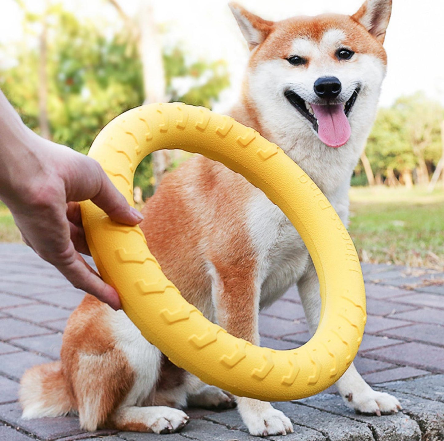 EVA Foam Dog Outdoor Training Toys - Ball & Tug Ring Styles - {{product.type}} - PawPawUp