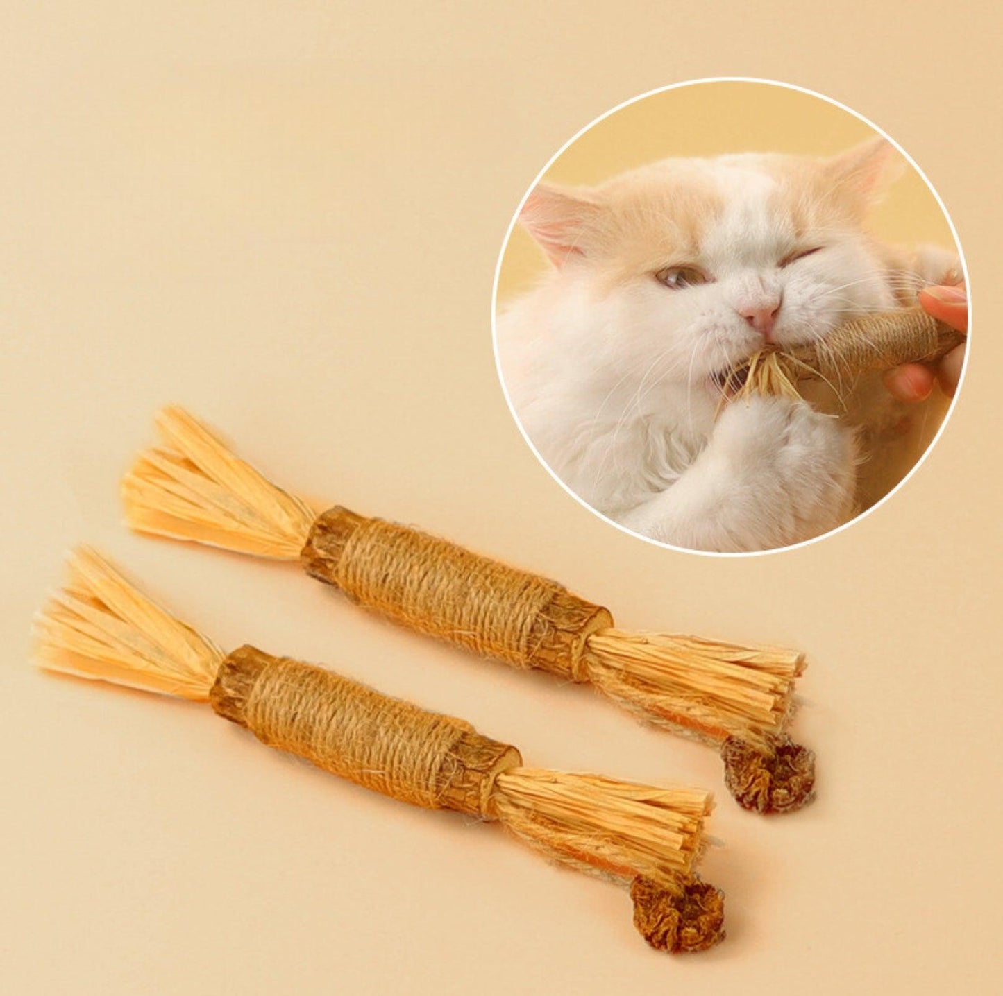 Feathered Catnip Stick Cat Toy - {{product.type}} - PawPawUp