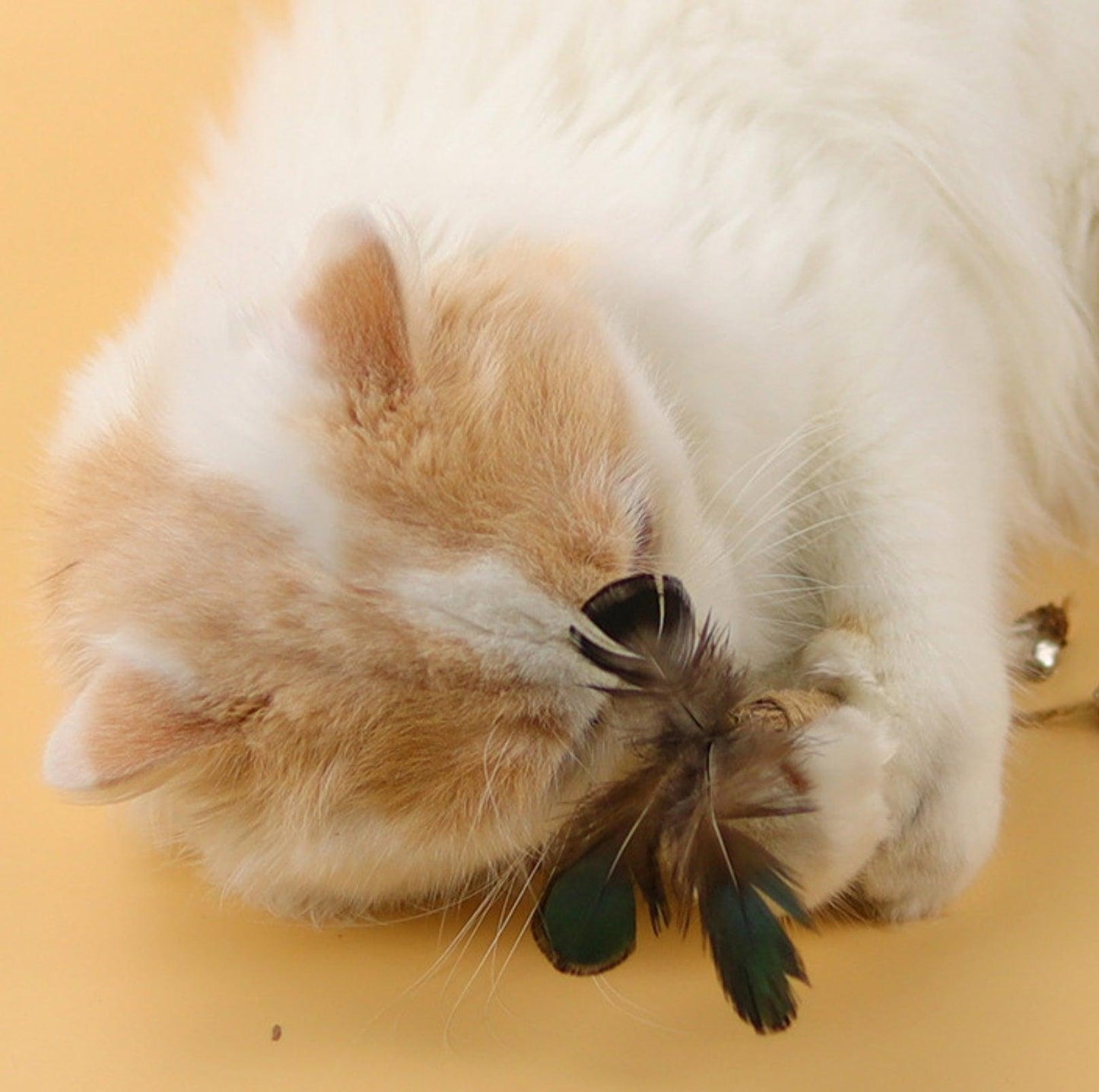 Feathered Catnip Stick Cat Toy - {{product.type}} - PawPawUp