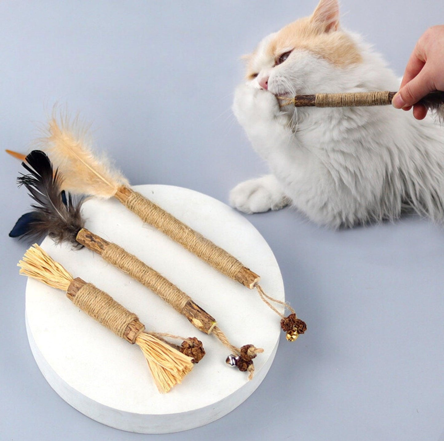 Feathered Catnip Stick Cat Toy - {{product.type}} - PawPawUp