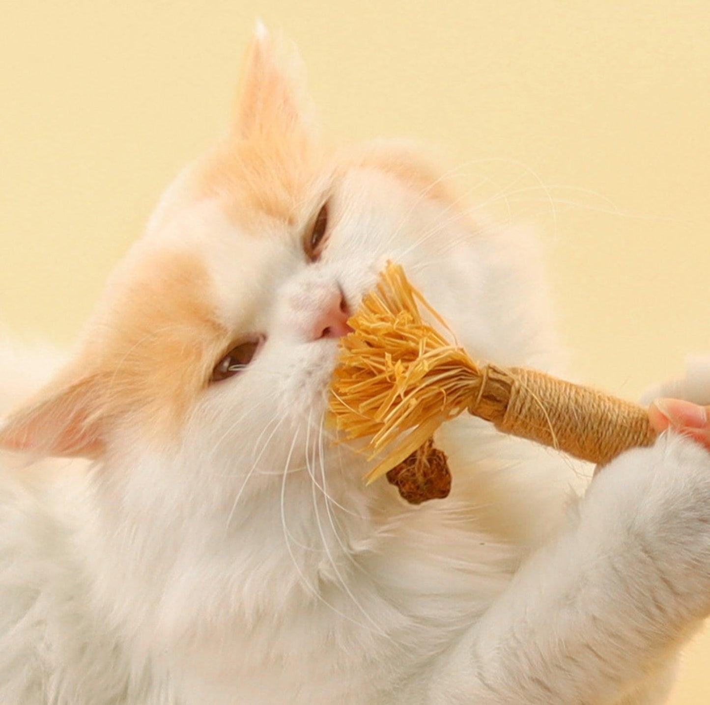 Feathered Catnip Stick Cat Toy - {{product.type}} - PawPawUp